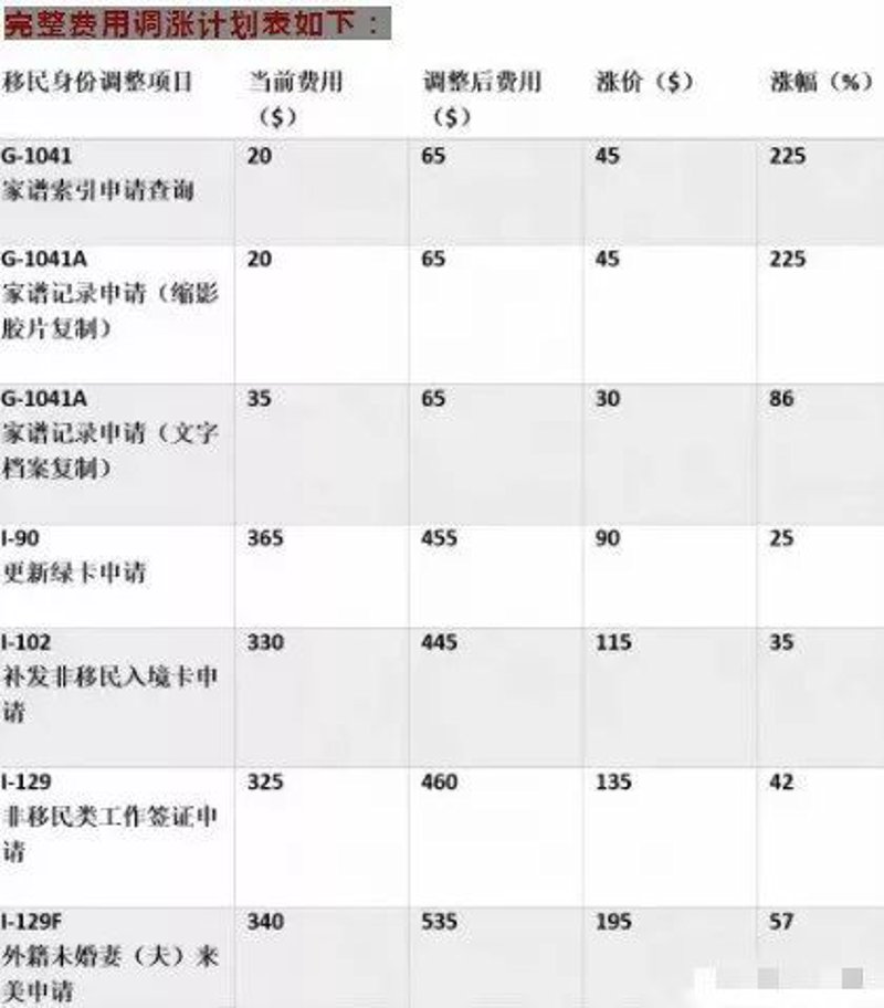留学中介市场风云：探索教育新天地